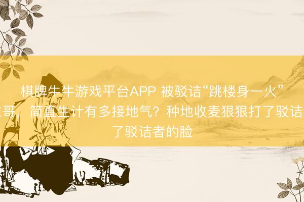 棋牌牛牛游戏平台APP 被驳诘“跳楼身一火”的大衣哥，简直生计有多接地气？种地收麦狠狠打了驳诘者的脸